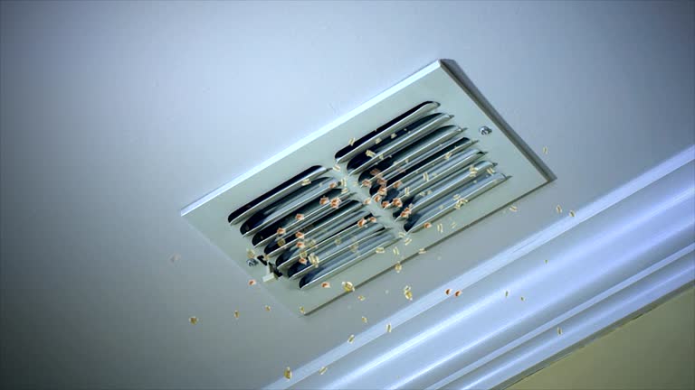 Best Best Air Duct Cleaning Company  in South Tucson, AZ