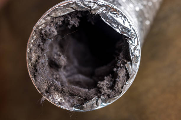 Best Affordable Air Duct Cleaning  in South Tucson, AZ